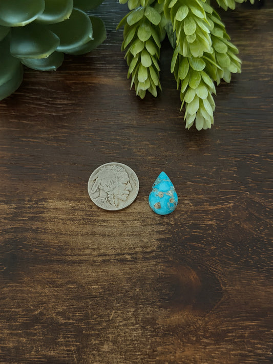 Blue Bird Turquoise Cab