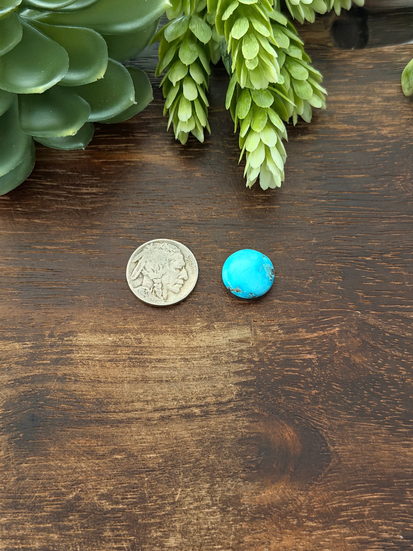 Blue Bird Turquoise Cab