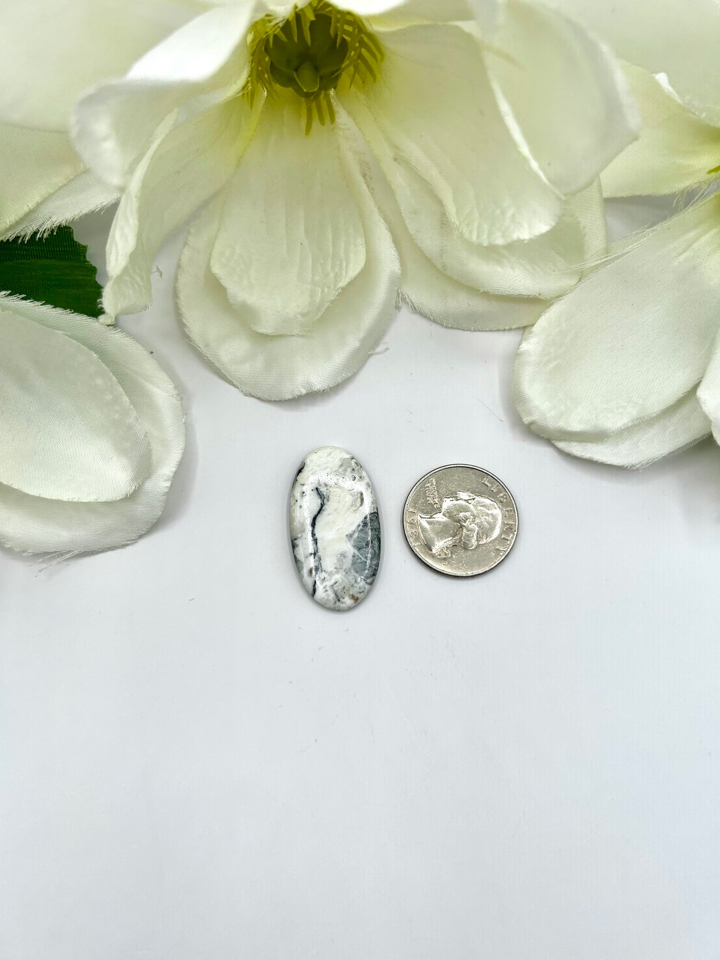 White Buffalo Cabs