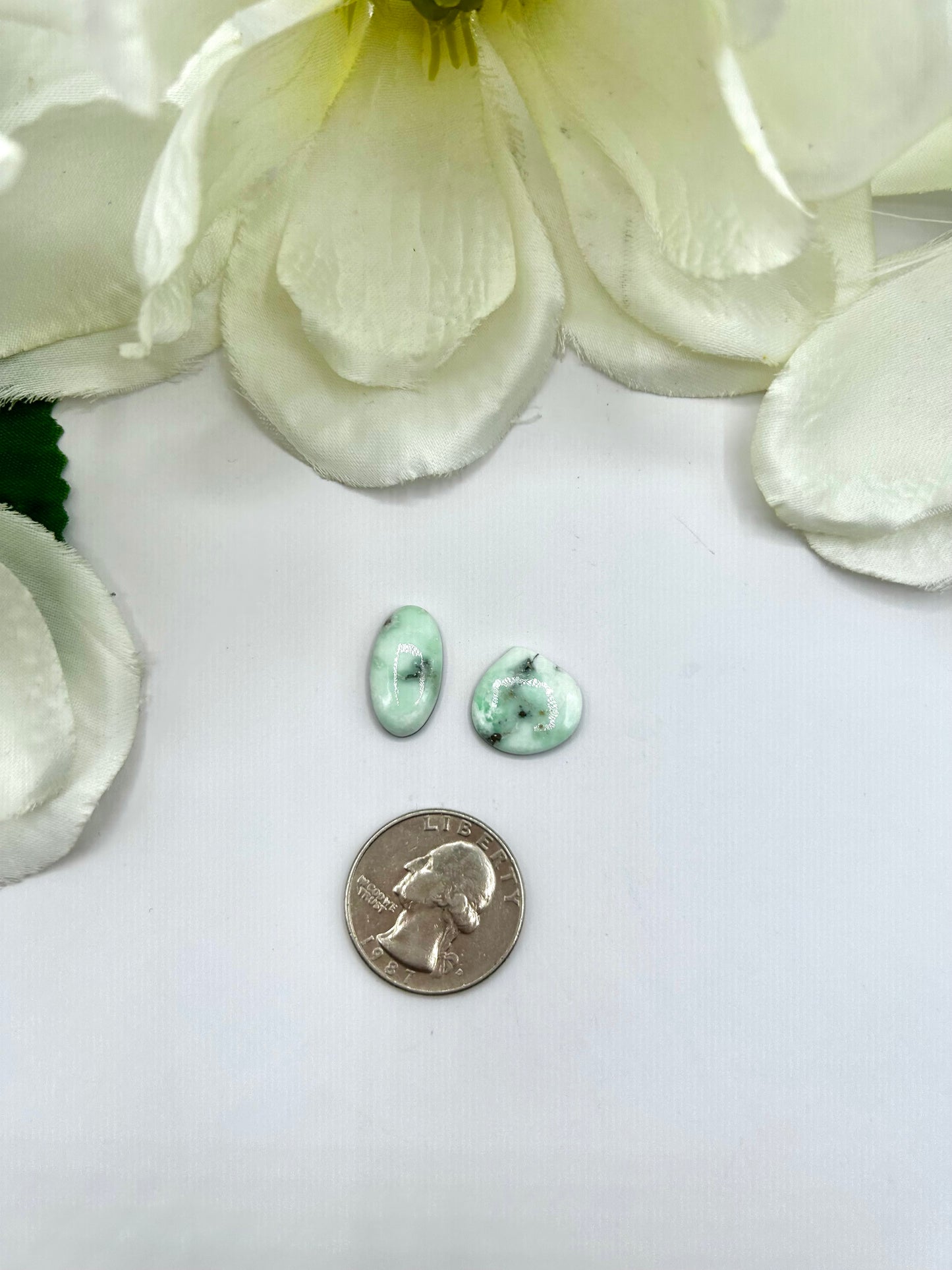 Paloma Variscite Cabs
