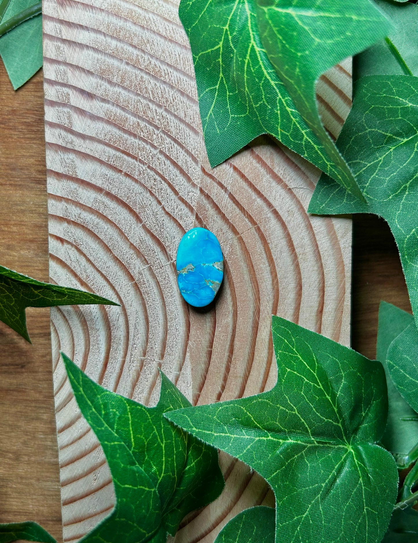 Blue Bird Turquoise Cabs