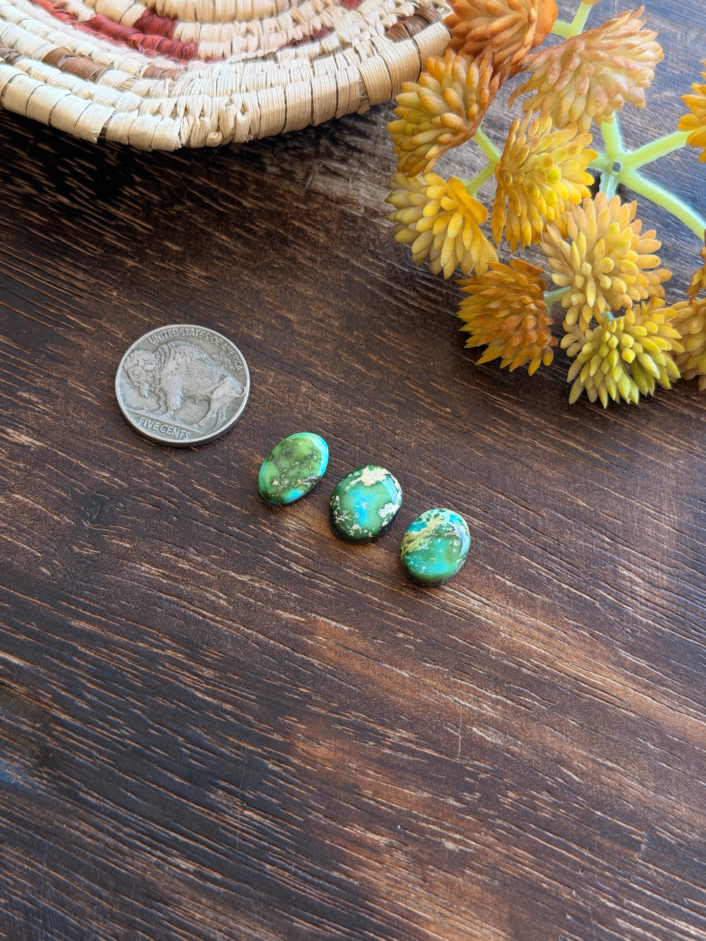 Sonoran Mountain Turquoise Cabs