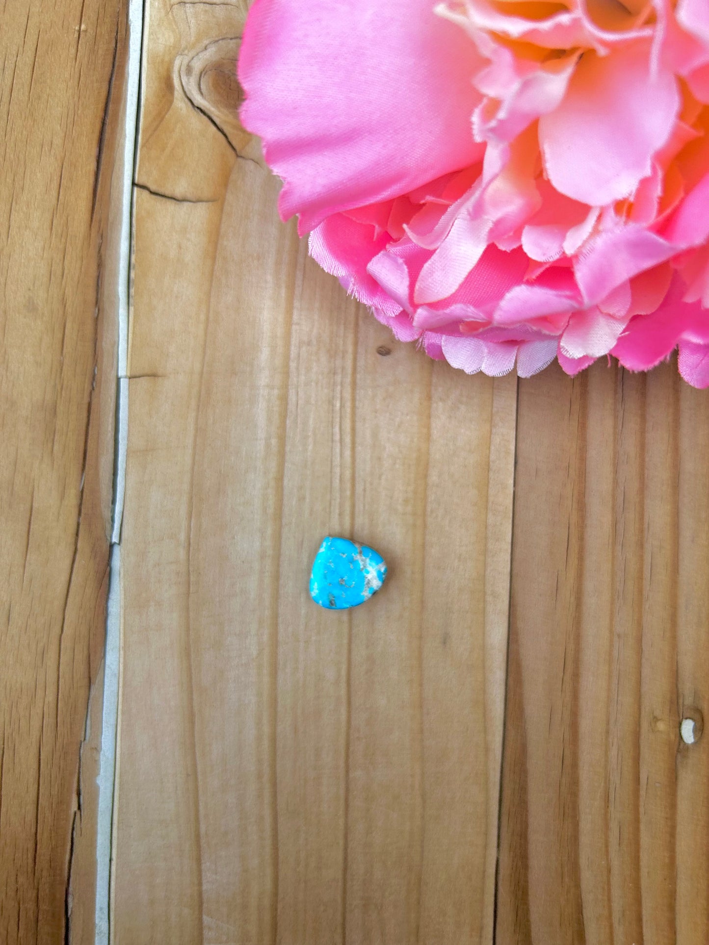 Blue Bird Turquoise Cabs