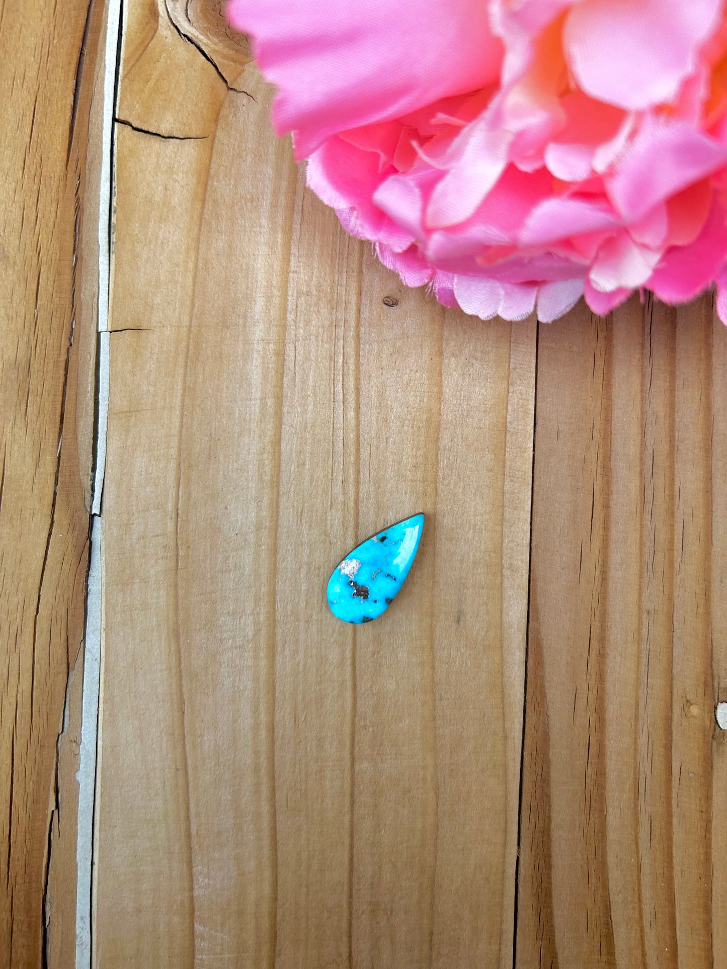 Blue Bird Turquoise Cabs