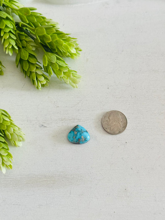 Blue Bird Turquoise Cab