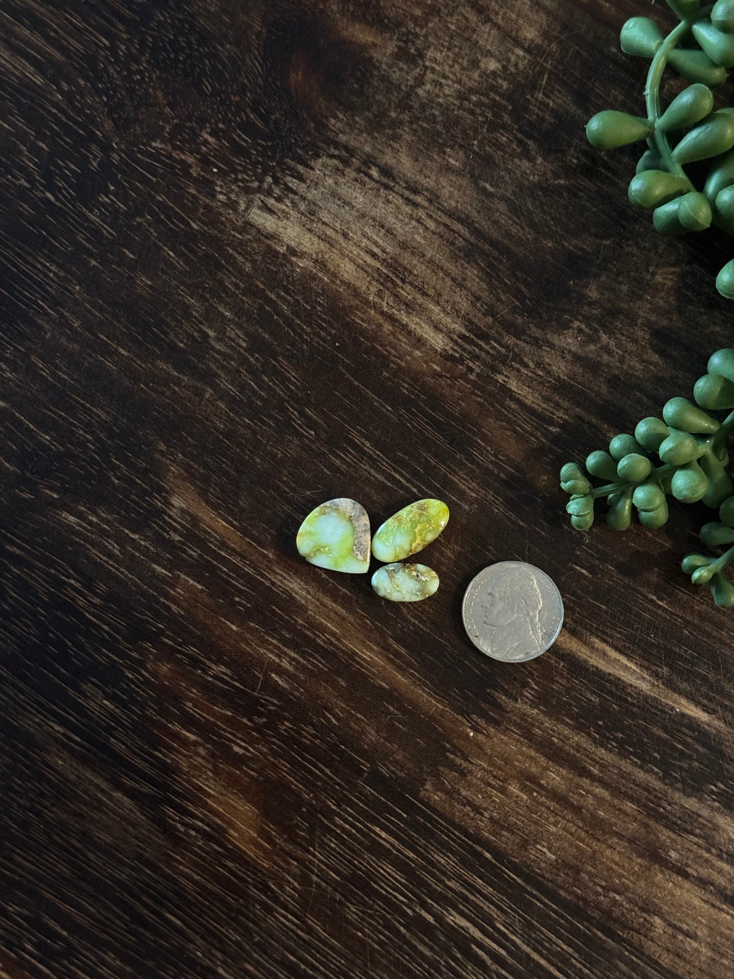 Palomino Variscite Cabs