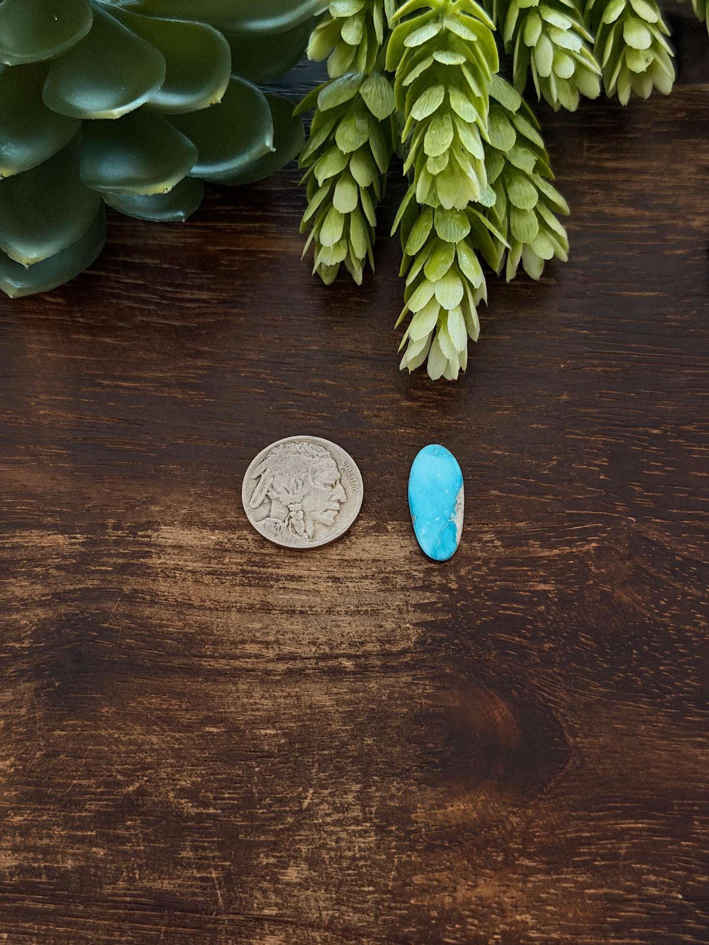 Blue Bird Turquoise Cab