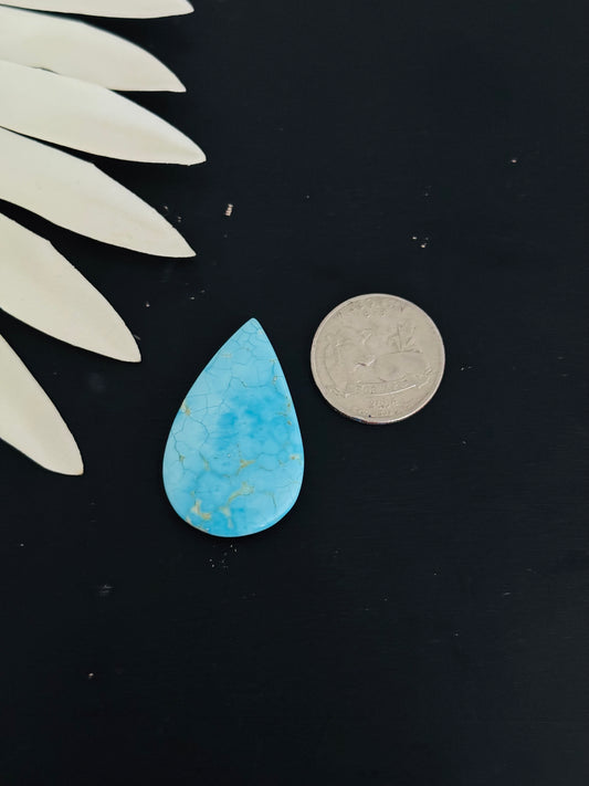 Blue Bird Turquoise Cabs