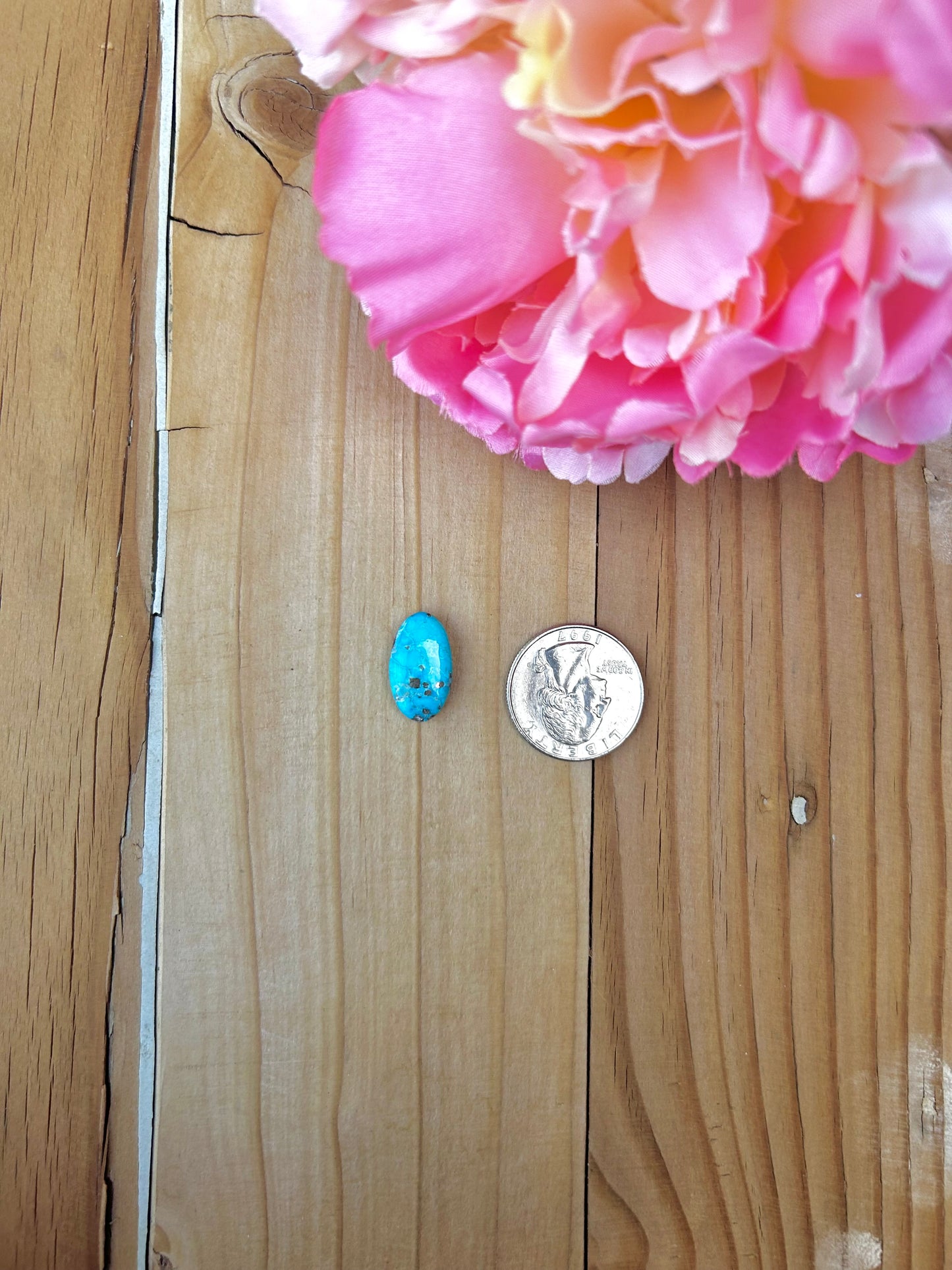 Blue Bird Turquoise Cabs
