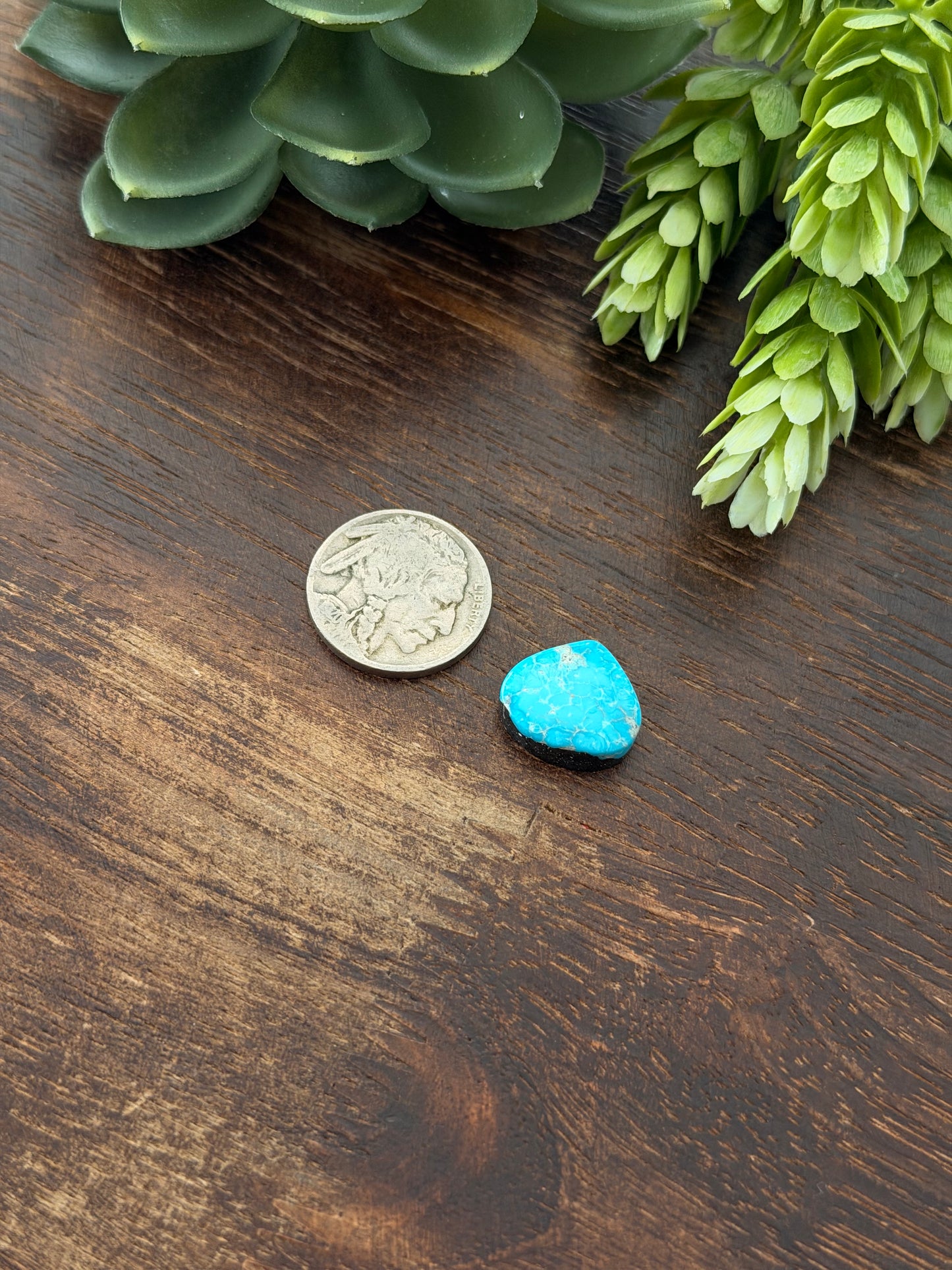 Blue Bird Turquoise Cab