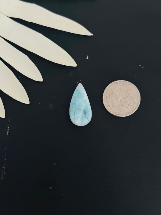Larimar Cabs