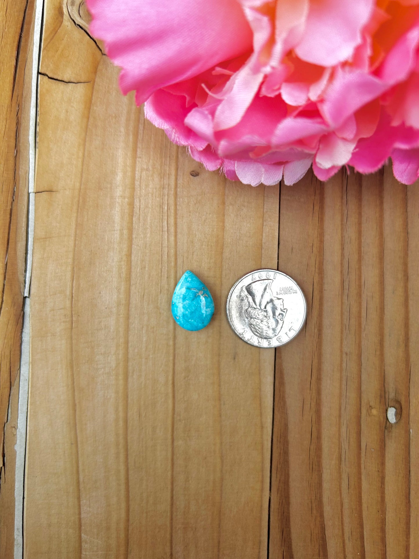 Blue Bird Turquoise Cabs