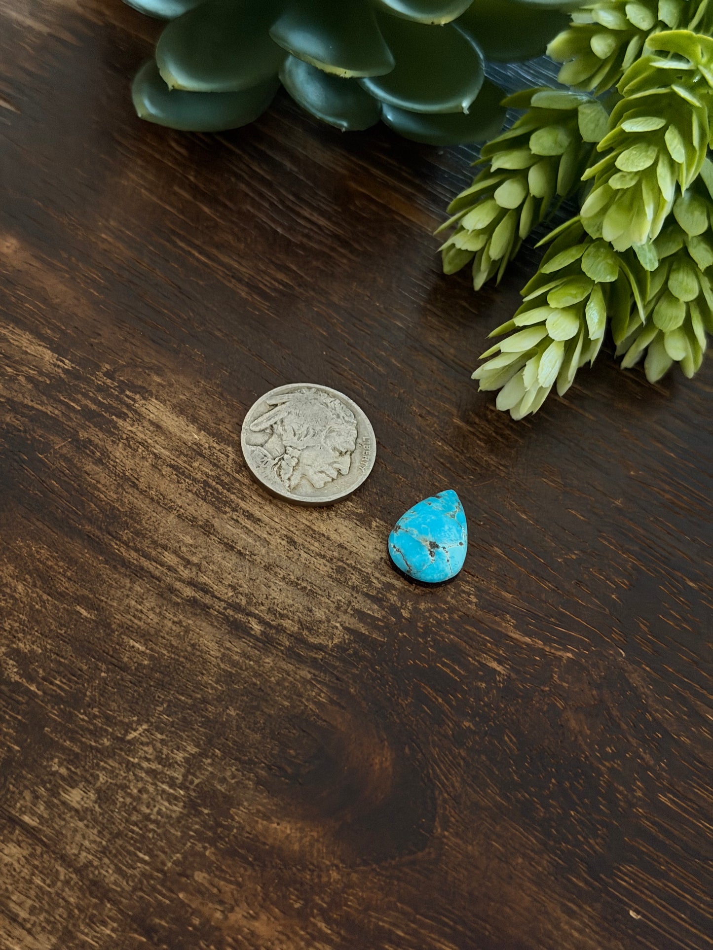 Blue Bird Turquoise Cab