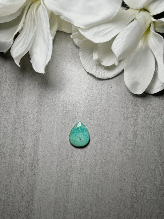 Kingman Turquoise Cab