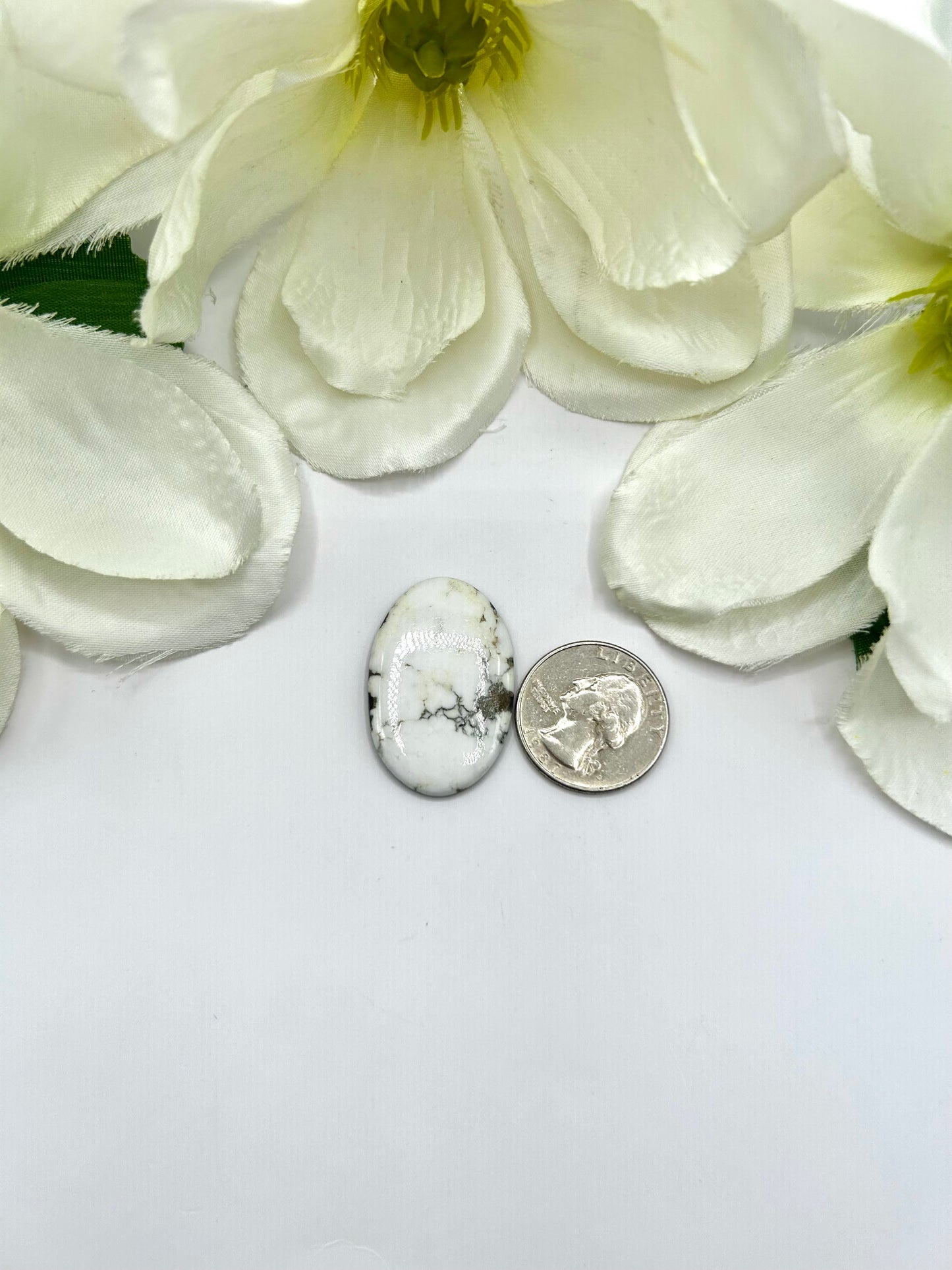 White Buffalo Cabs