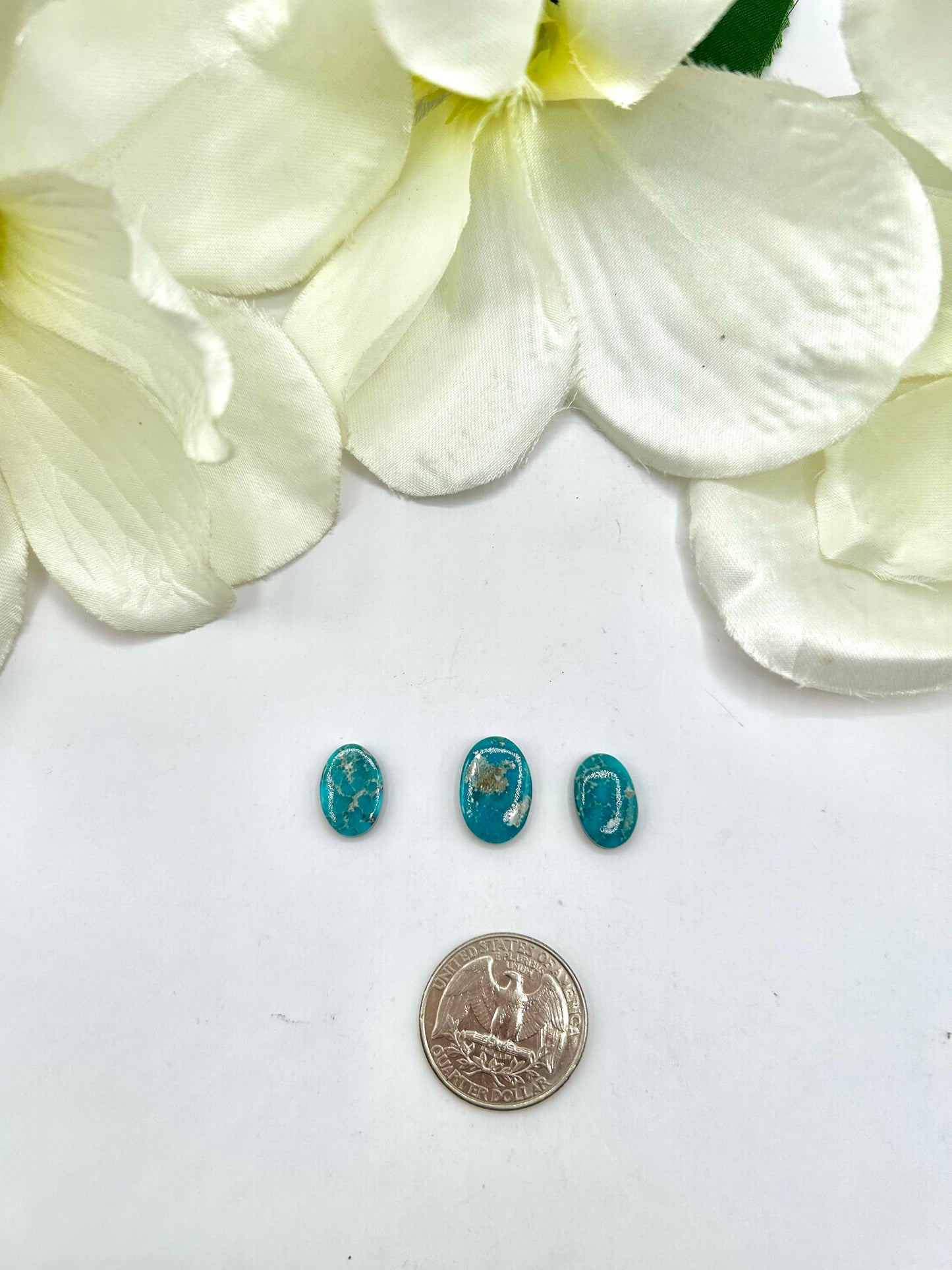 White Water Turquoise Cabs