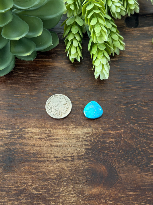 Blue Bird Turquoise Cab