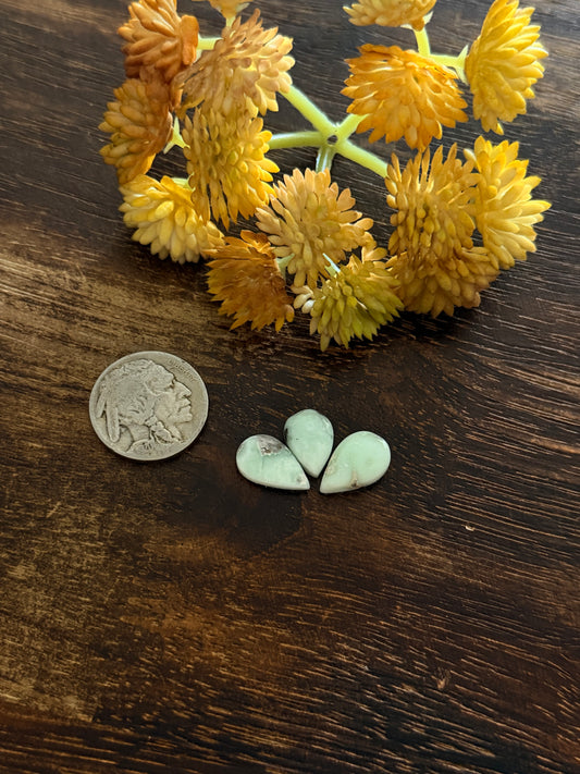 Paloma Variscite Cabs