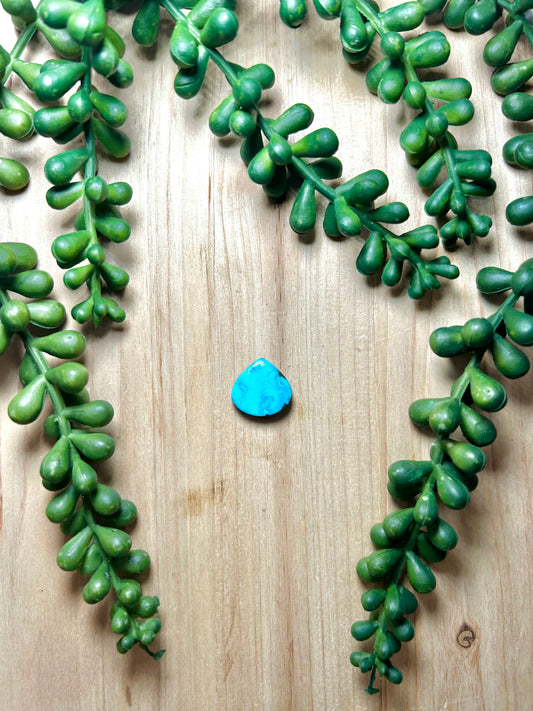Blue Ridge Turquoise Cab