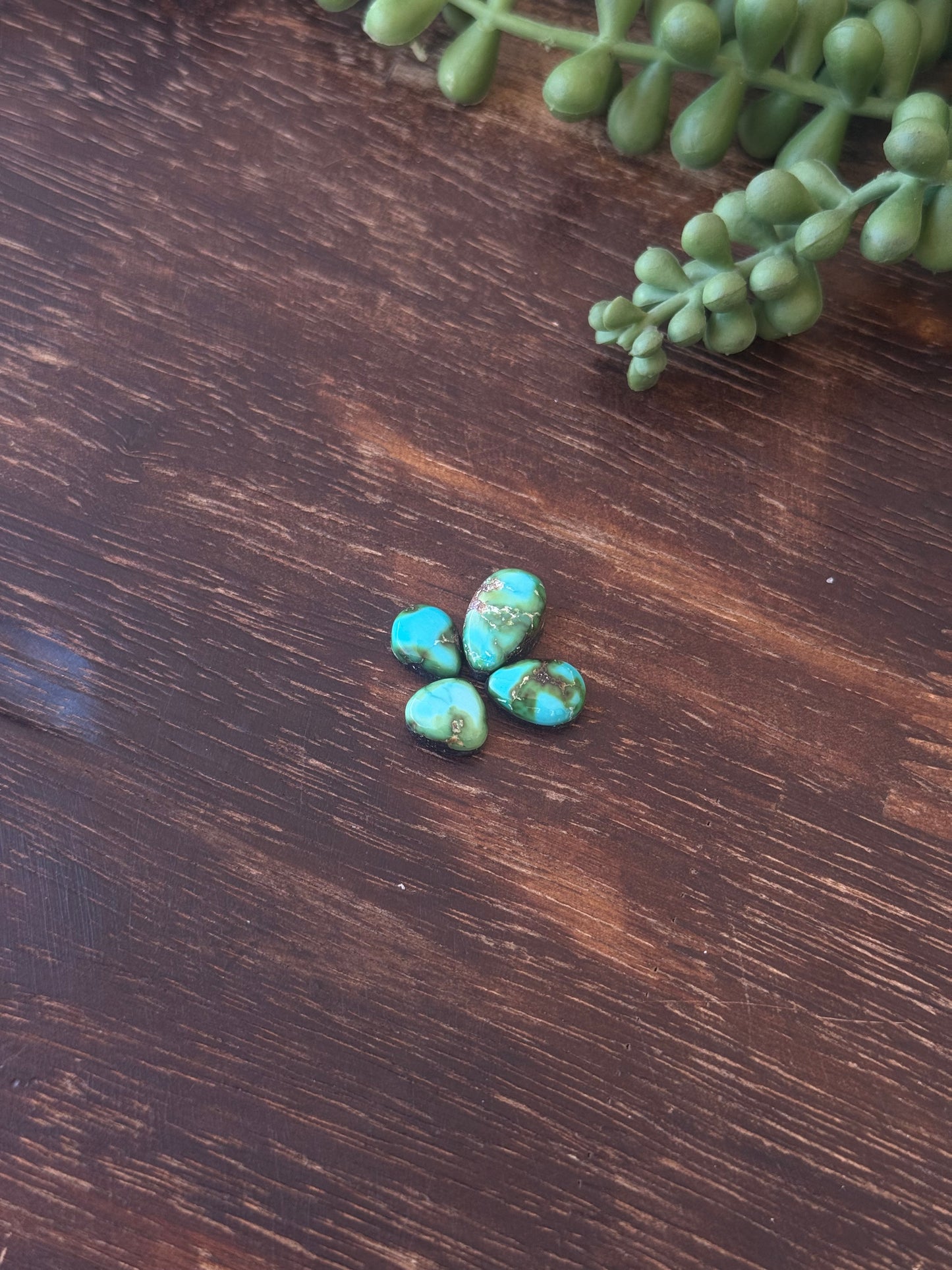 Sonoran Mountain Turquoise Cabs