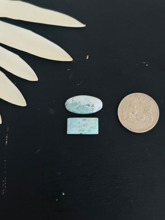 Larimar Cabs