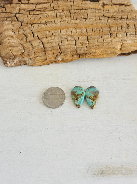 #8 Turquoise Earring Pair Cabs