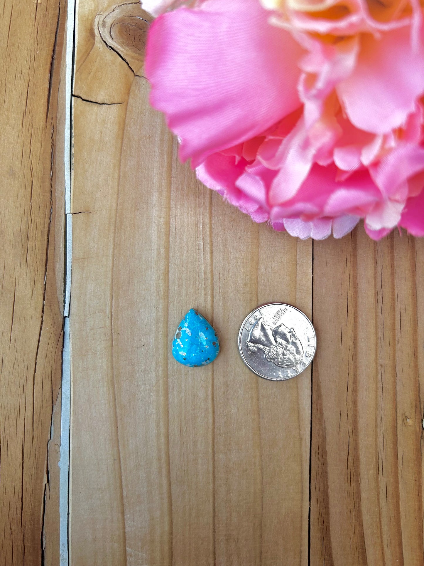 Blue Bird Turquoise Cabs