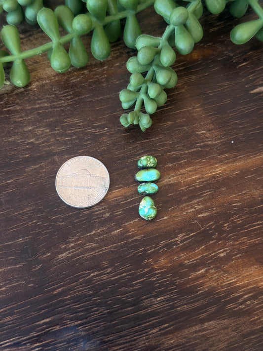 Sonoran Mountain Turquoise Cabs