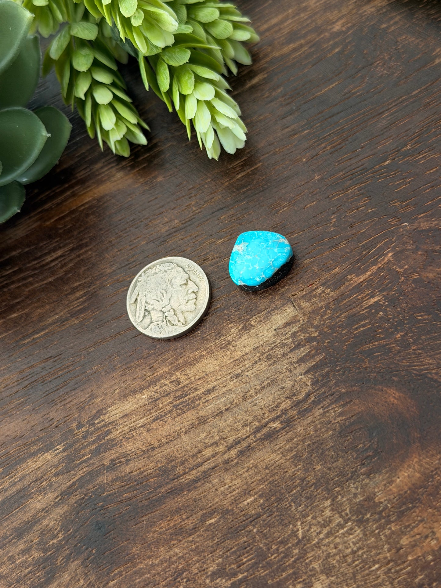 Blue Bird Turquoise Cab
