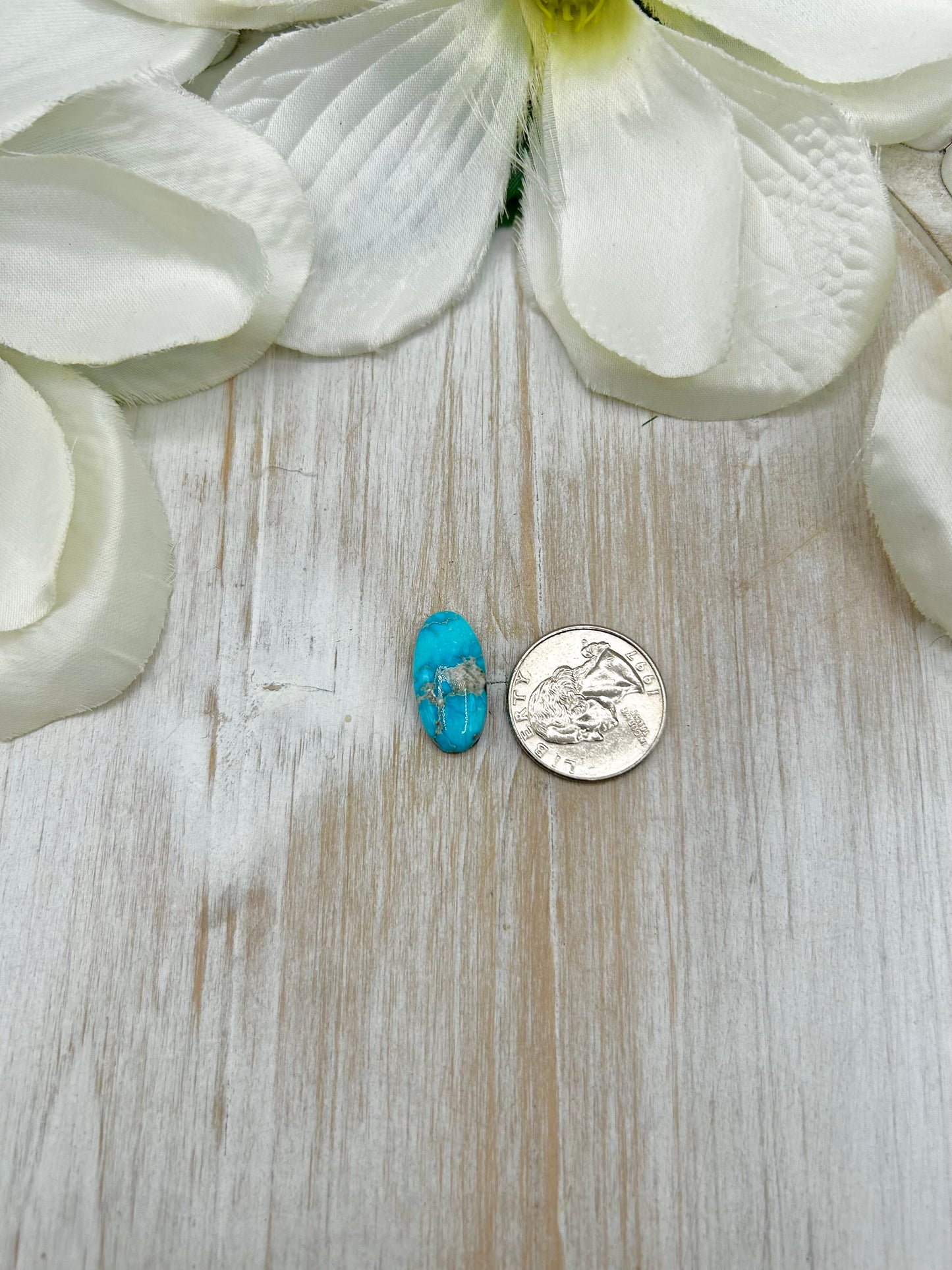 Blue Ridge Turquoise Cab