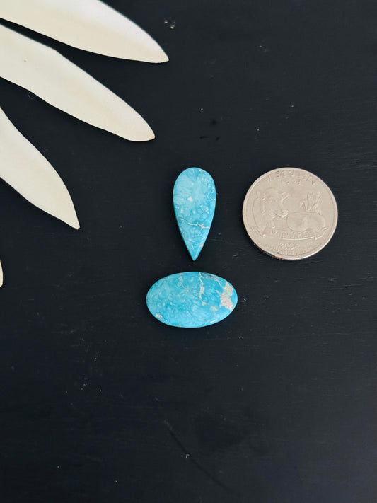 Blue Bird Turquoise Cabs