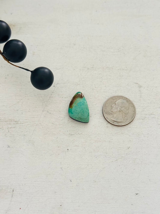 Kingman Turquoise Cab