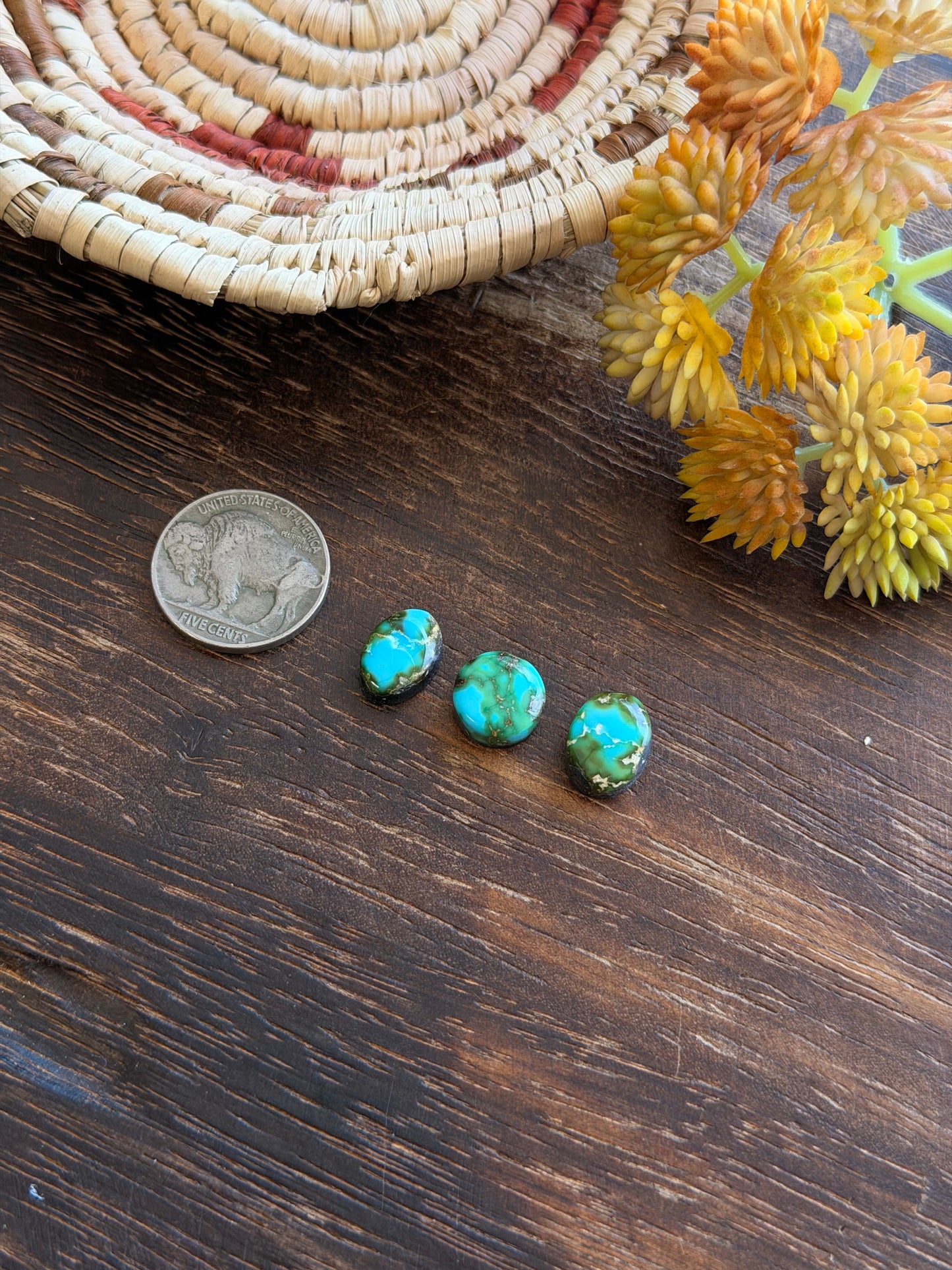 Sonoran Mountain Turquoise Cabs