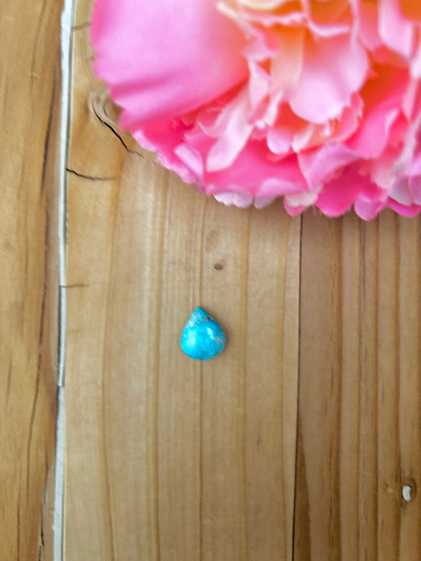 Blue Bird Turquoise Cabs