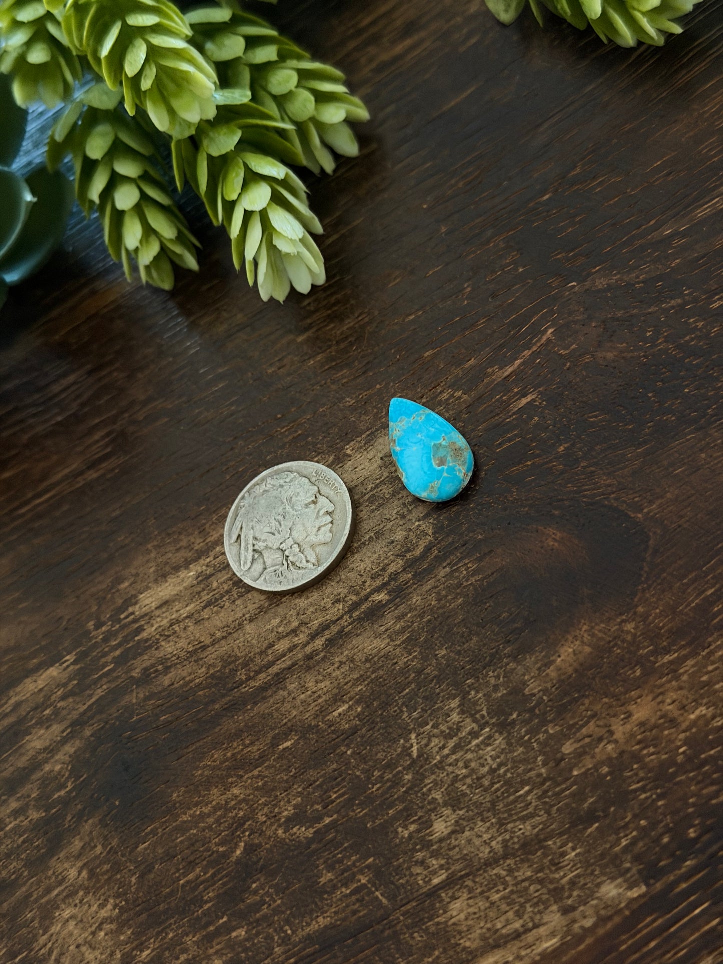 Blue Bird Turquoise Cab