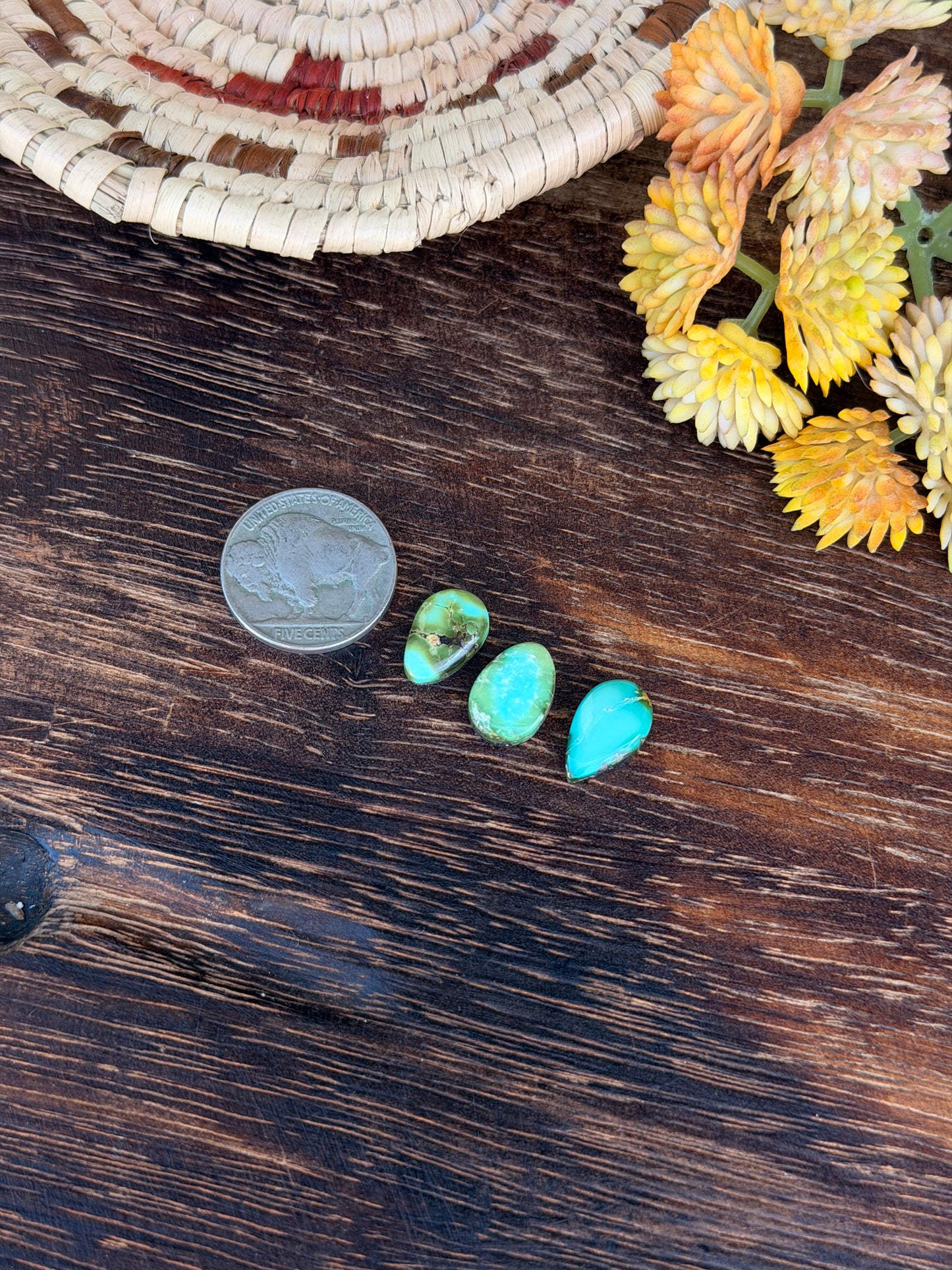 Sonoran Mountain Turquoise Cabs
