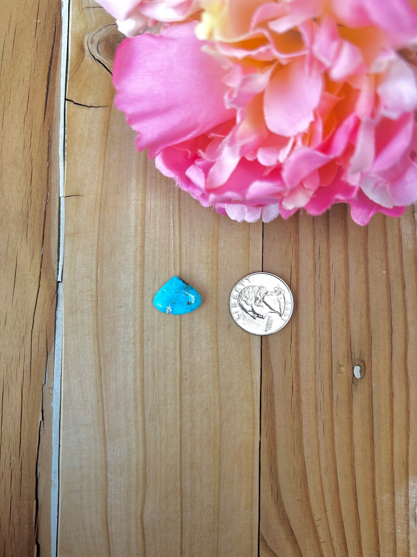 Blue Bird Turquoise Cabs