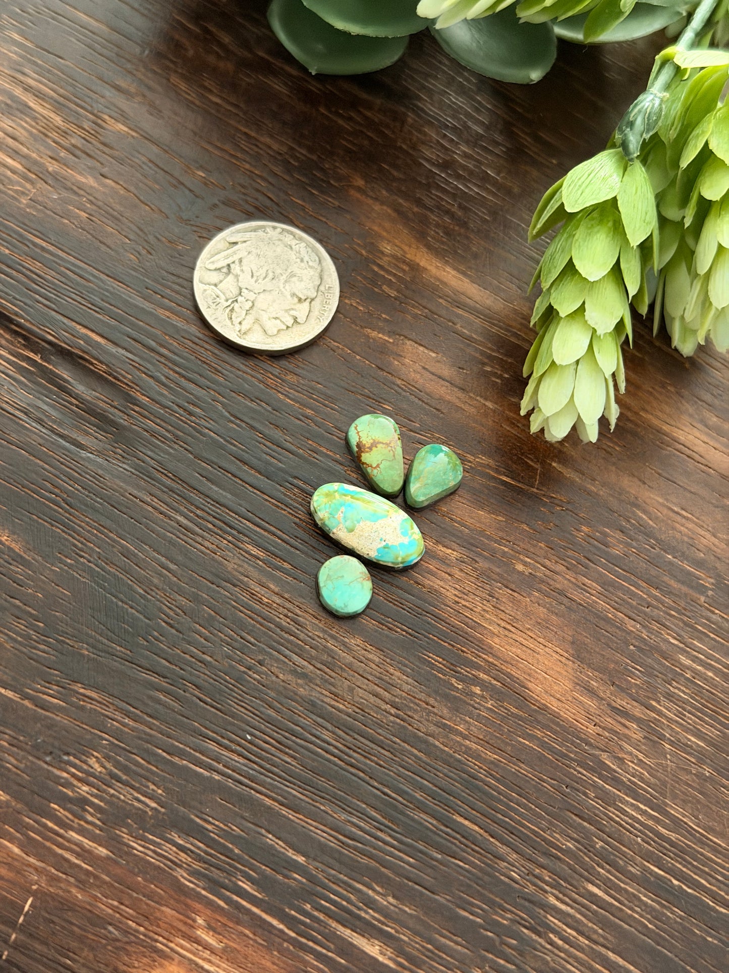 Evans Turquoise Cabs