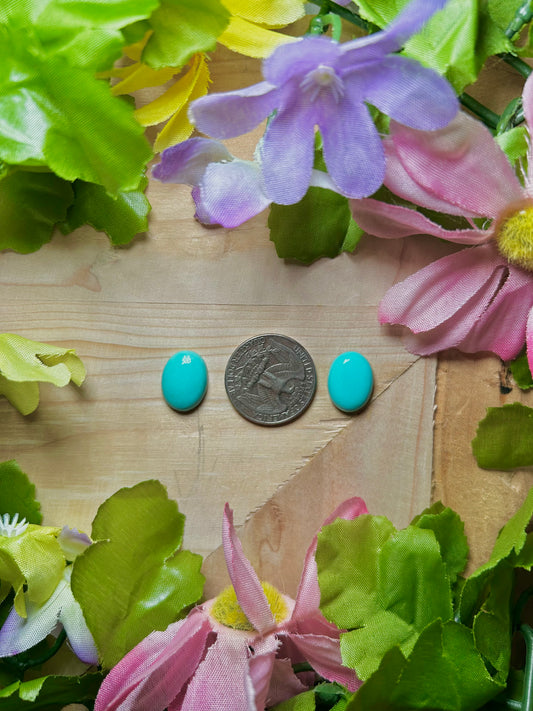 Kingman Turquoise Cabs