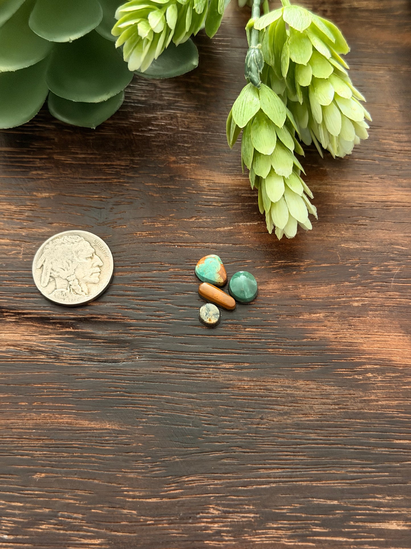 Evans Turquoise Cabs