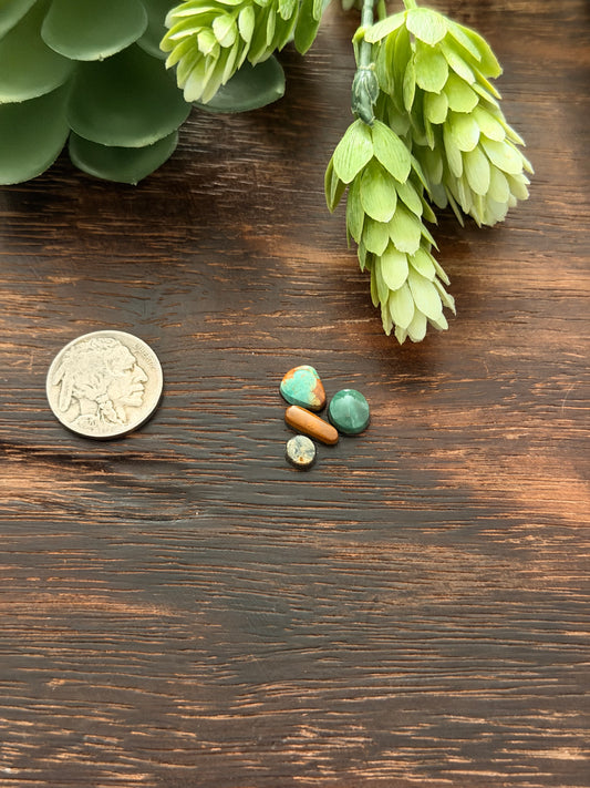 Evans Turquoise Cabs