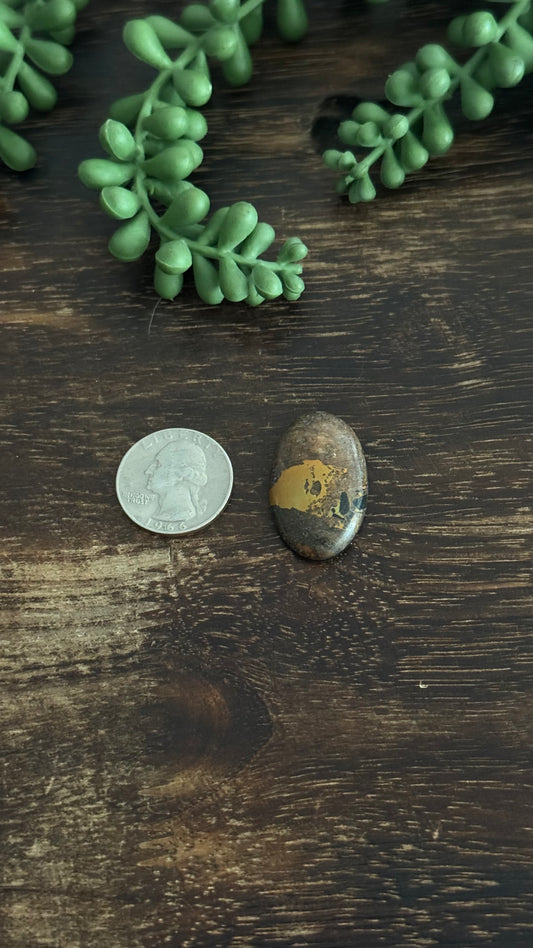 Black Jack Turquoise Cab