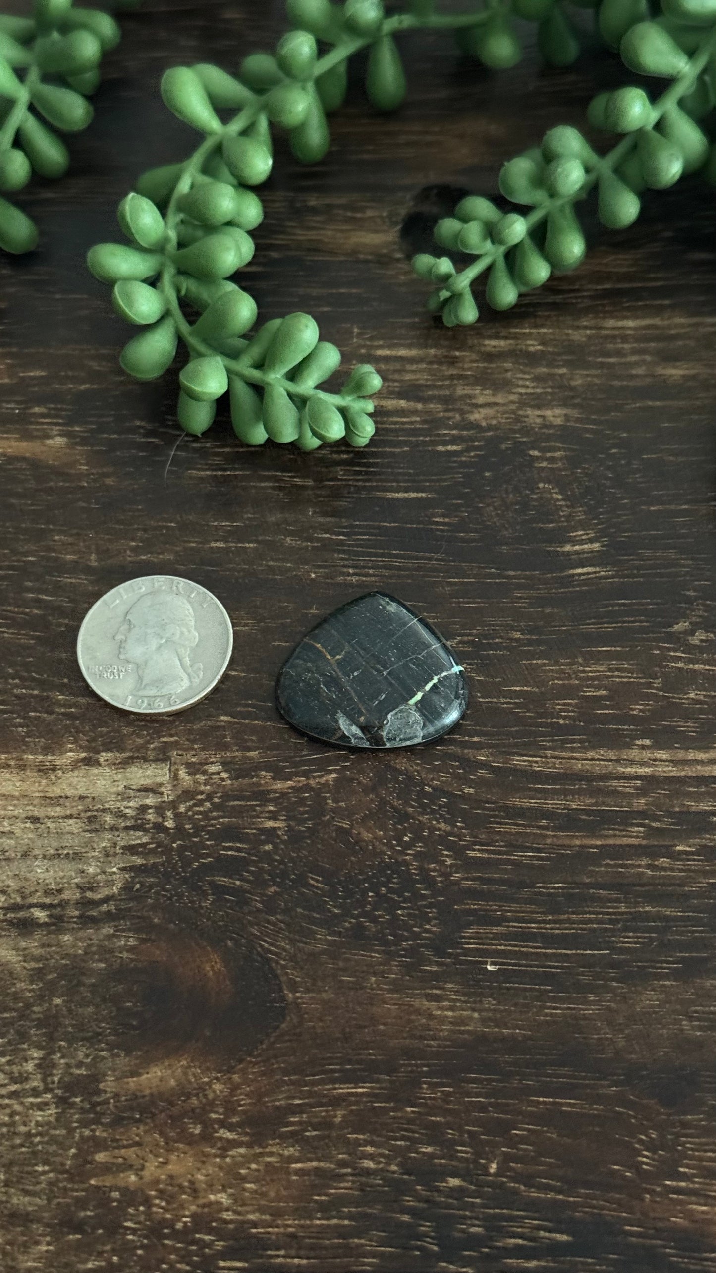 Black Jack Turquoise Cab