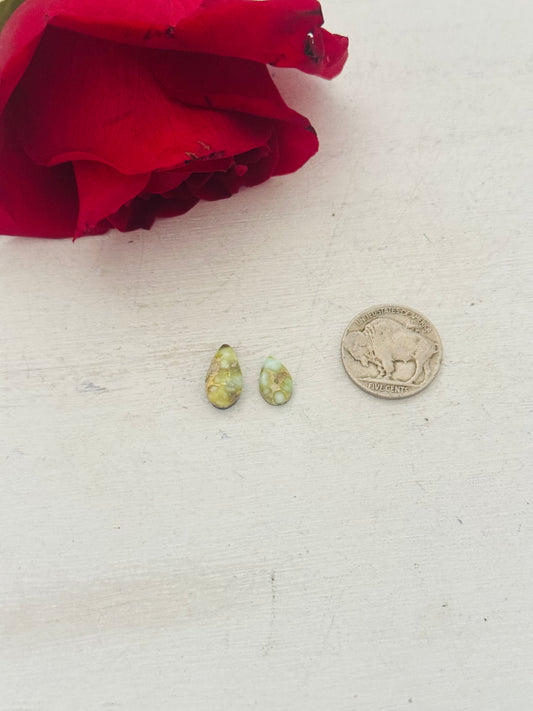 Palomino Variscite Cabs