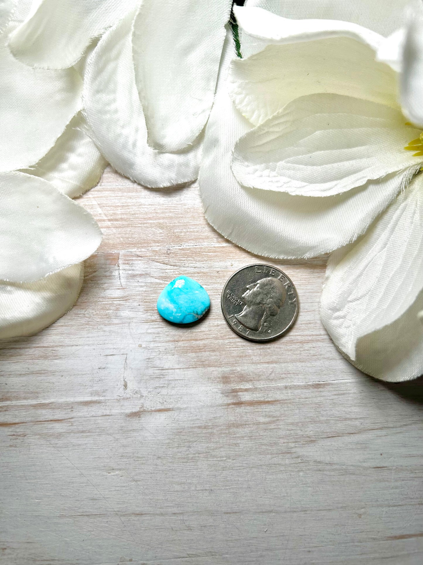 Blue Ridge Turquoise Cab