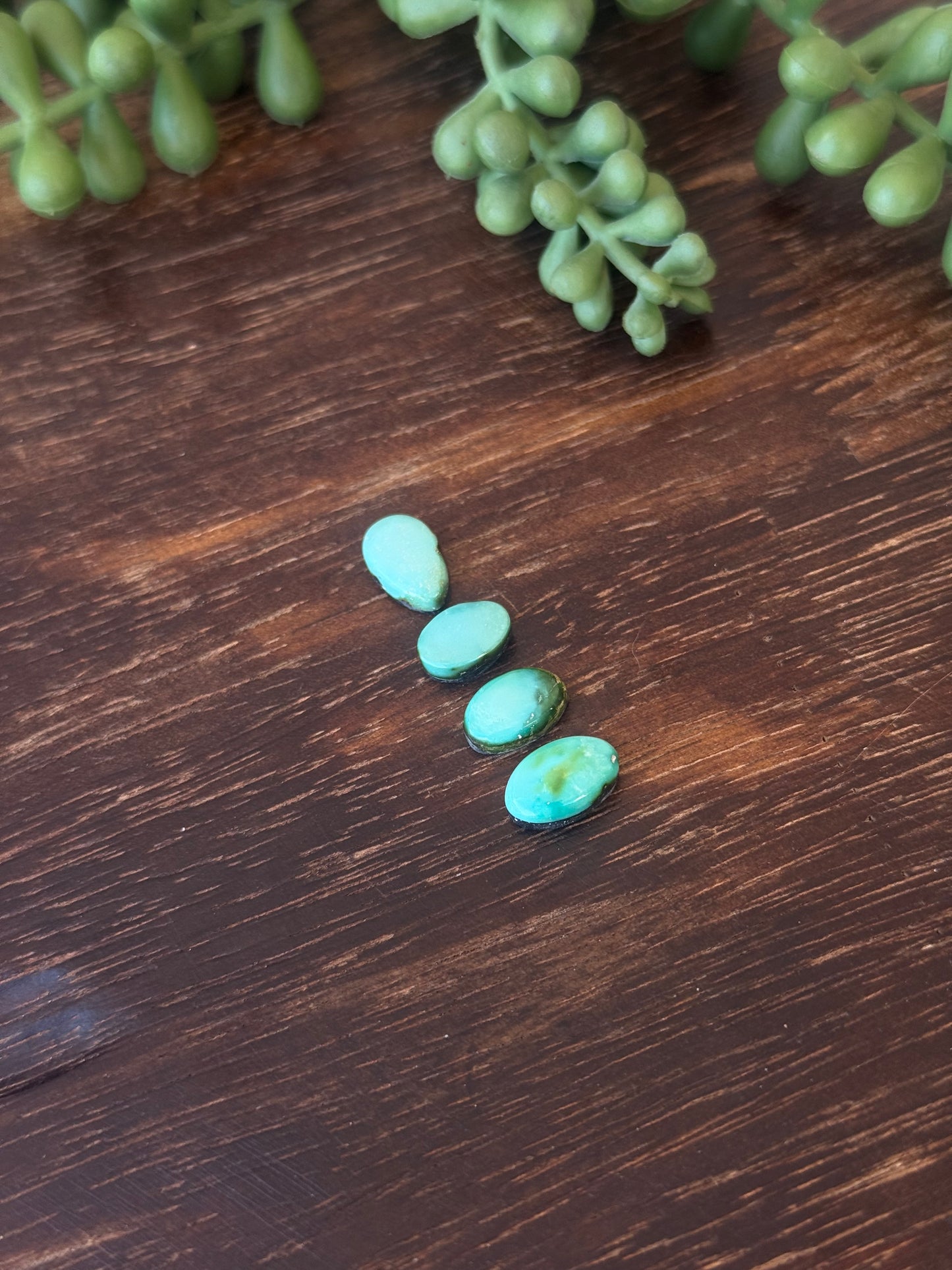 Sonoran Mountain Turquoise Cabs