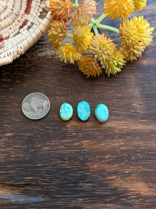 Sonoran Mountain Turquoise Cabs
