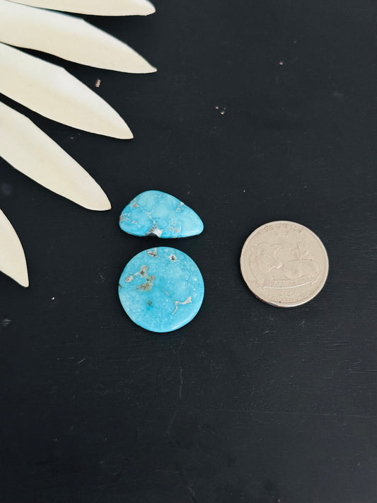 Blue Bird Turquoise Cabs
