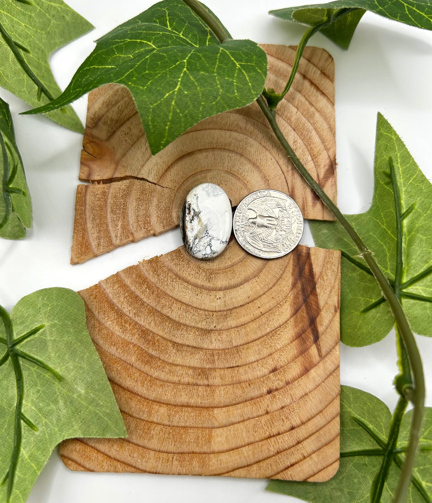 White Buffalo Cabs