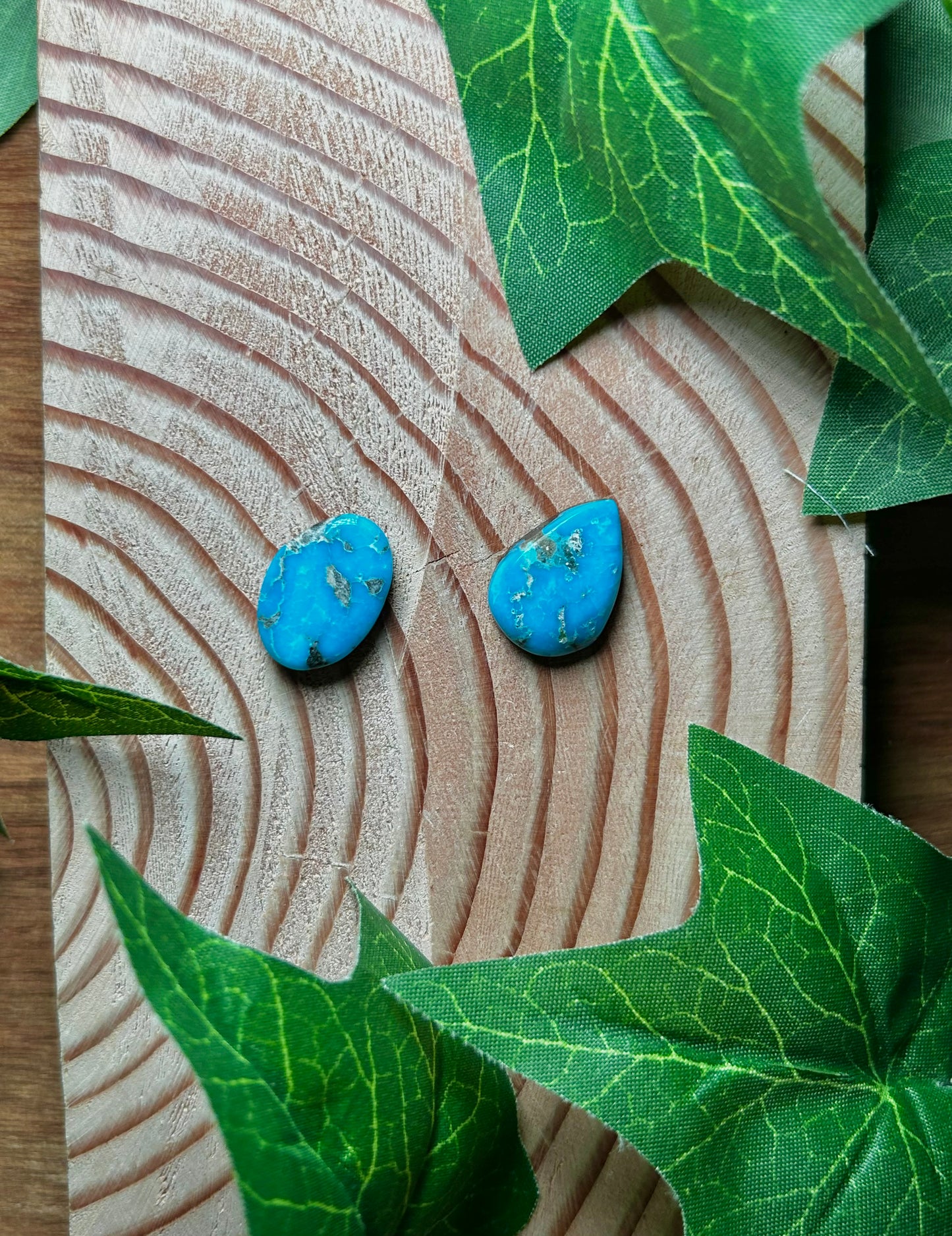Blue Bird Turquoise Cabs